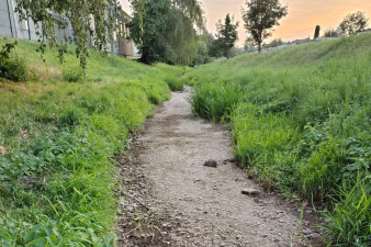Menší toky v Olomouckém kraji vysychají, Morava má minimum průtoku