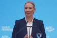 Německo se bojí vítězství AfD a zásahu do státu