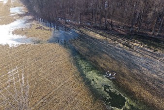 Vědci vylepší monitoring komárů v Litovelském Pomoraví